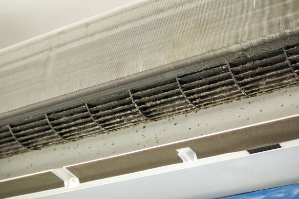 Best Local Air Duct Cleaning Services  in West Dennis, MA